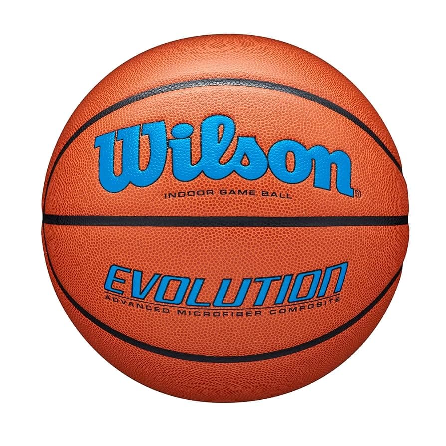 Wilson Evolution Indoor Basketball